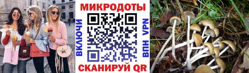 Галлюциногенные грибы мицелий  Снежногорск 