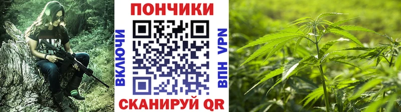 Конопля семена  Снежногорск 